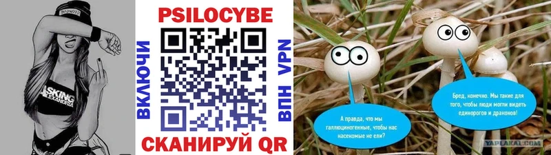 Псилоцибиновые грибы прущие грибы  Купить закладки  Краснотурьинск 